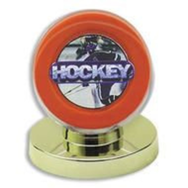 1 DELUXE GOLD BASE HOCKEY PUCK DISPLAY CASES