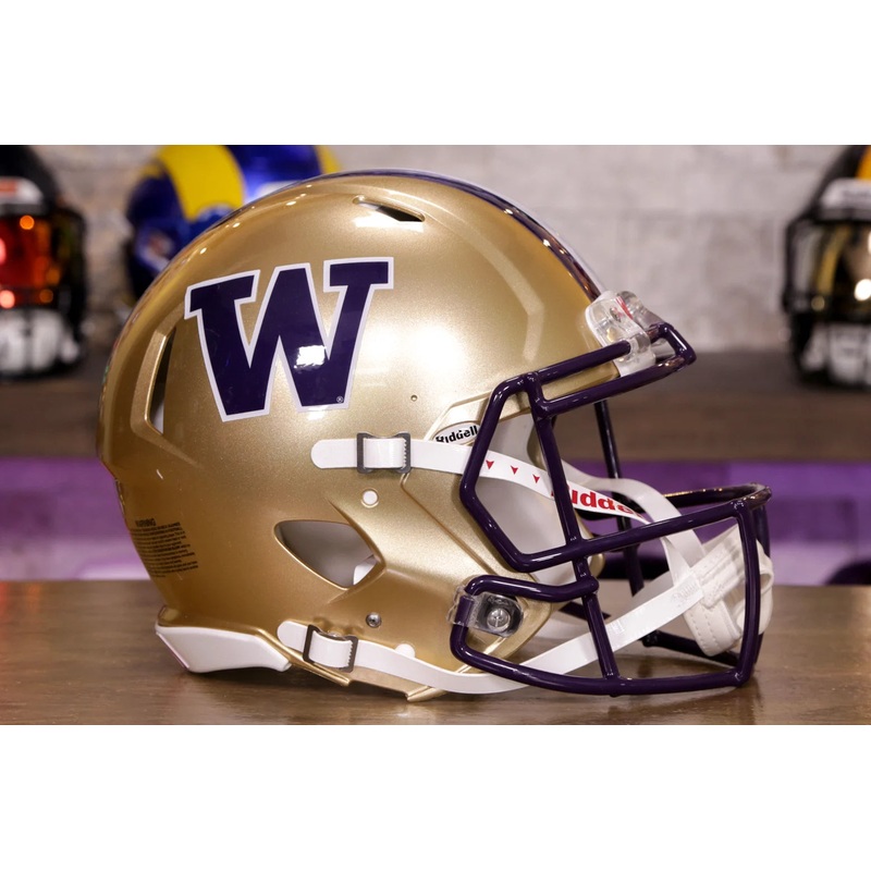 Washington Huskies Riddell Speed Authentic Helmet