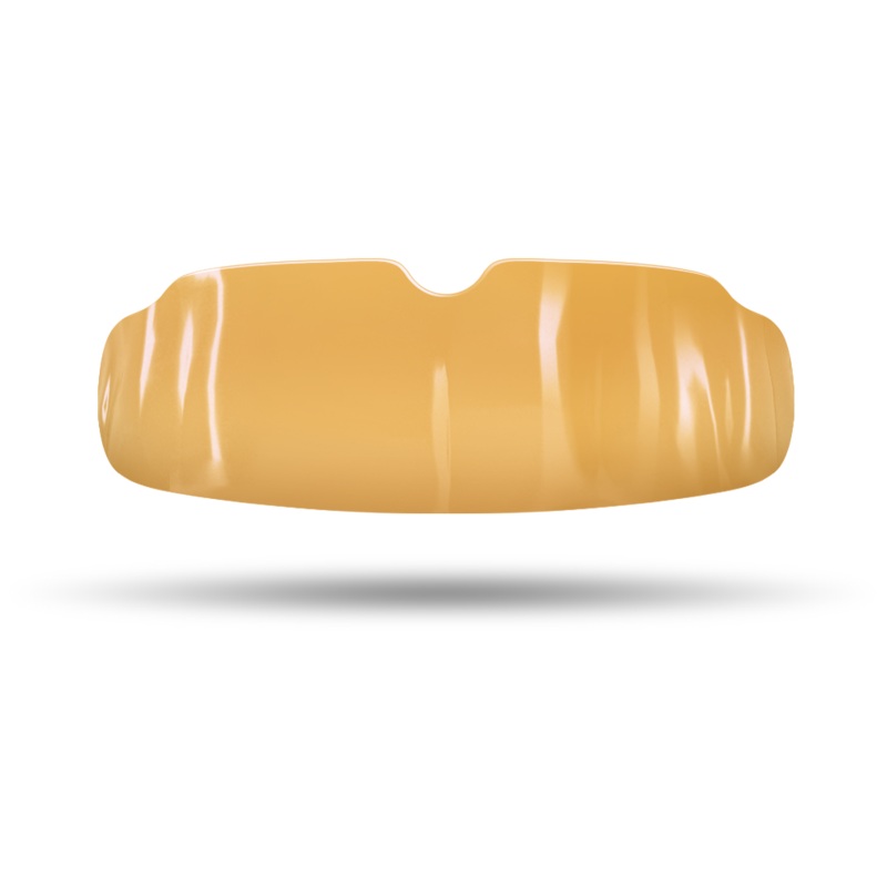 $29 Holiday Special – Bold Gold QuickFIT + Case