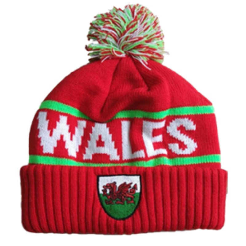 Wales Rugby Shield Bobble Hat