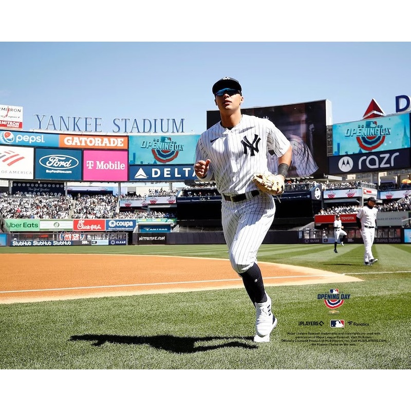 Anthony Volpe Walks Onto the Field New York Yankees 8″ x 10″ Baseball Photo
